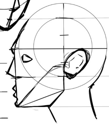 Andrew Loomis Head