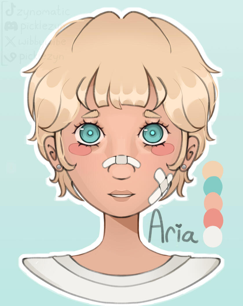 Aria